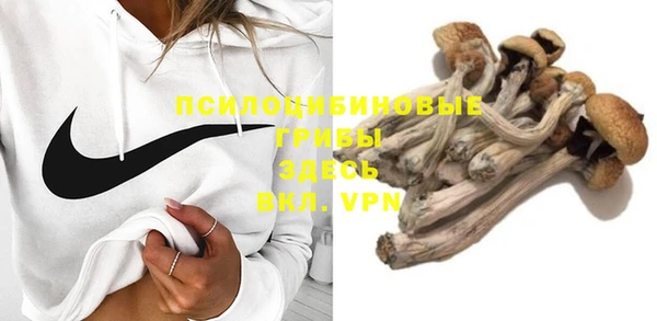 прущая мука Вязники