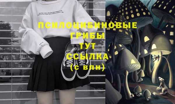 MDMA Premium VHQ Вяземский